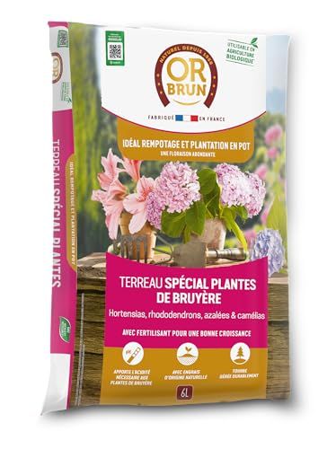 Or Brun Terreau Spécial Plantes De Bruyère - 6L - Meilleur Enracinement - Utilisable en Agriculture Biologique OBRTBRU6U