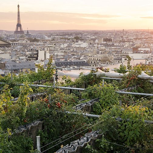 La Cordonnerie - Galeries Lafayette Paris Haussmann | Paris - 75009